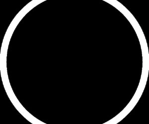 madalyn.moon