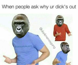 Jake