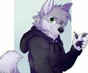 NoahSparksWolf
