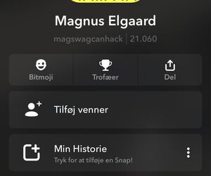 Magnus