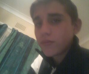 vincent