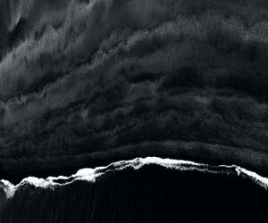 Will Andrews