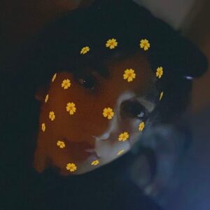 Profile HHH