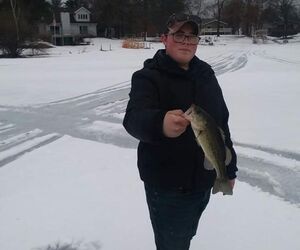 Dalton