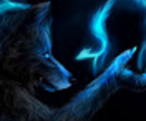 wolffang723