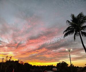 Profile Mick