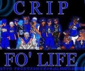 1i1$@v@g3dr@c0