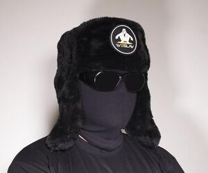 LeafyIsHere cl
