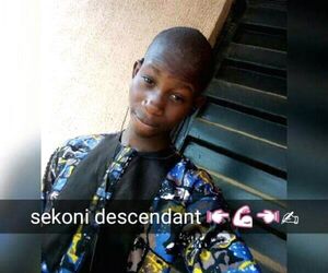 Sekonidescenda