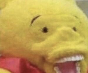 No