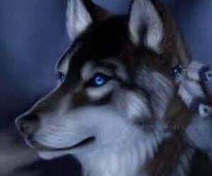 Fenrir