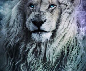 Adonis