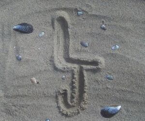 LJ13