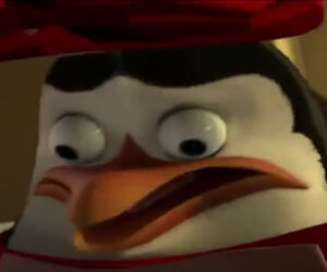 Aleks