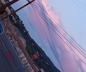 Moonee