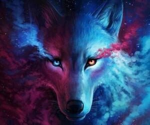 Cosmic