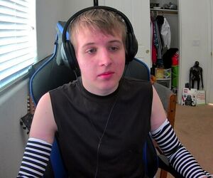 Gavin