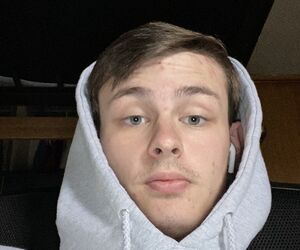 Gavin