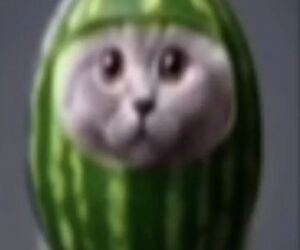 Lorenzo