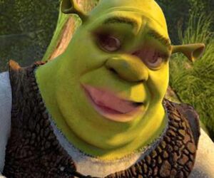 Ryan