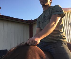 Farmeraj