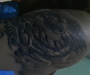 bull