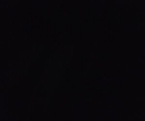 fvidalcis_