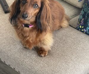 Bob