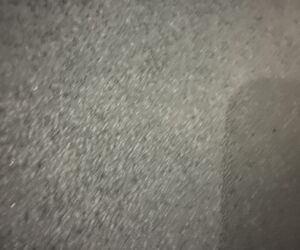 Profile Haarfrras