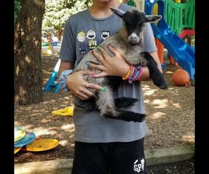 Norah_0406