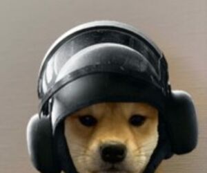 Ethan
