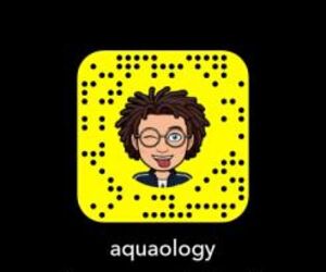 Aquaology