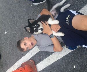 Jdog/villiani