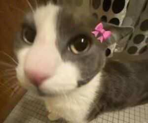 :3