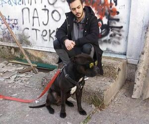 Filip