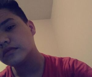 Wolf_vane