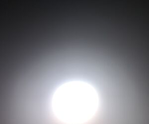sfuxiaj