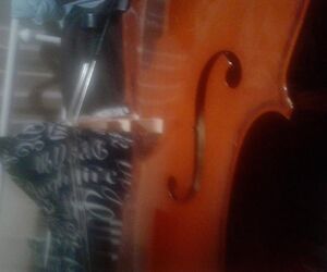 Celloboy
