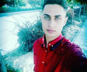 alireza