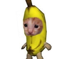 banana [ d kin