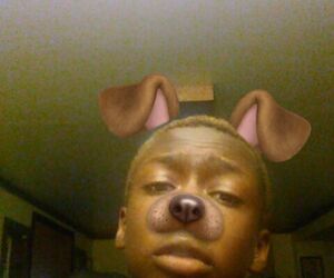 DTroy