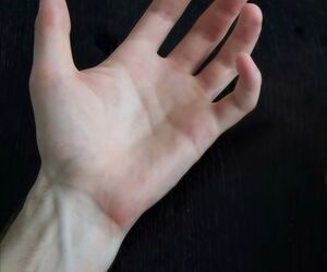 Felix