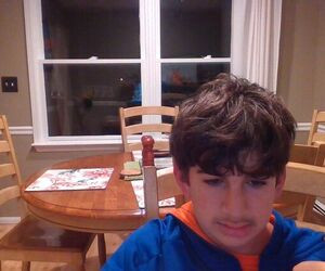 david