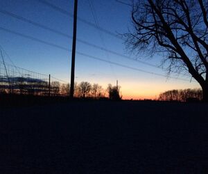 nature