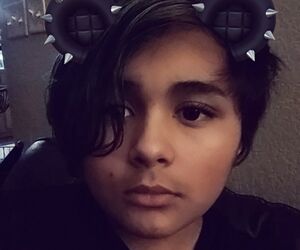 Ari