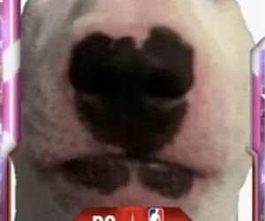 NotErrkM