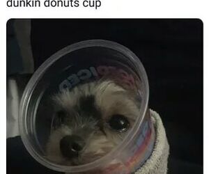DeadInsideButI