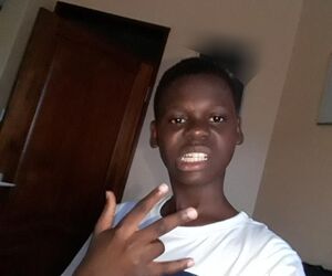 elmsvg9