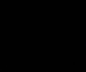 Tiragia