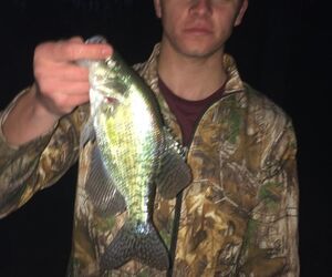 codylawson16